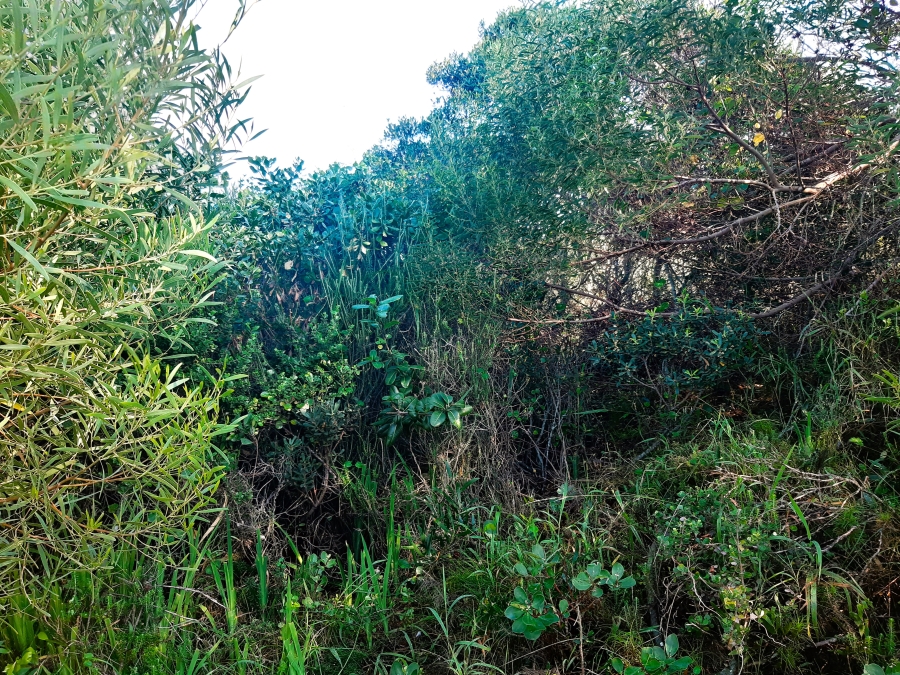 0 Bedroom Property for Sale in Paradise Beach Eastern Cape
